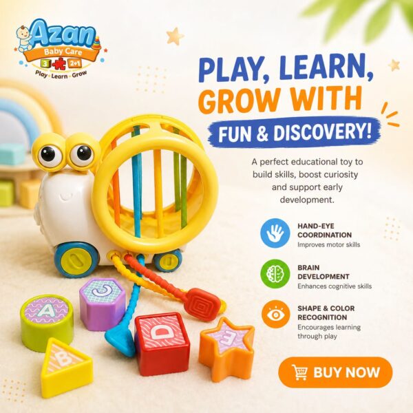 Snail Shape Sorting Toy