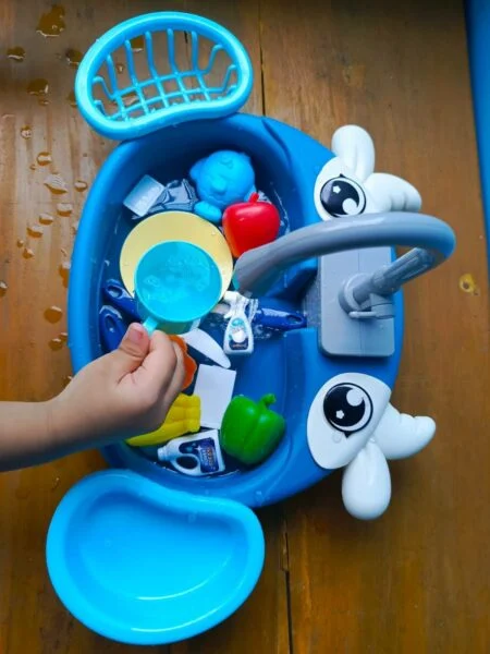 Animal Sink
